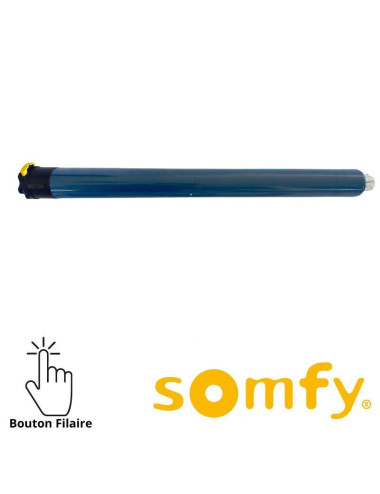 Moteur Somfy LT60 Taurus 120/12
