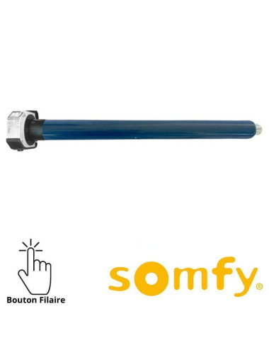 Moteur Somfy LT60 Taurus 120/12 CSI
