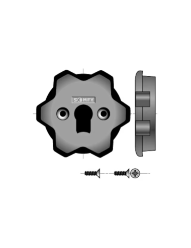 Support interface Somfy LS40 / LT50