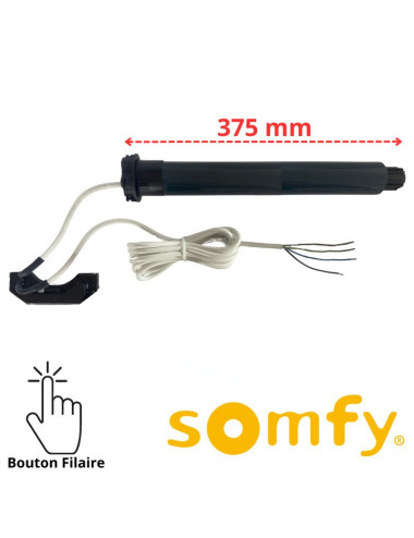 Moteur Somfy Ilmo 50 WT court 6/17