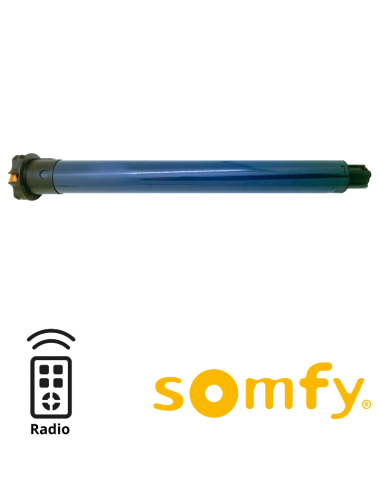 Moteur Somfy S&SO RS100 io 6/17