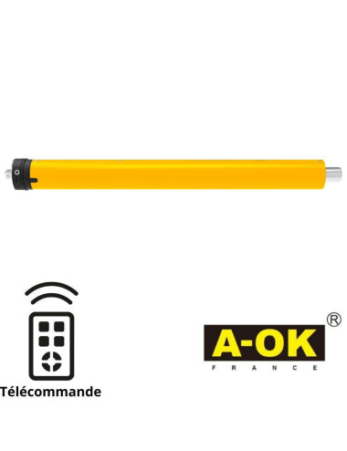 Moteur tubulaire A-OK Ø60 radio 100/12 - FDC mécanique